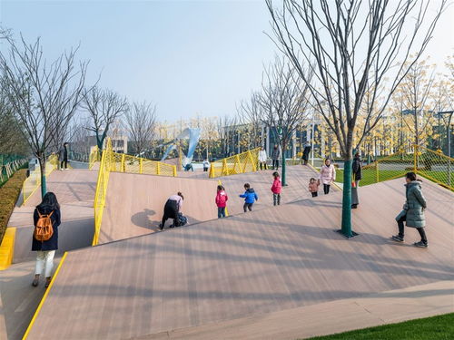 从设计到实景 公共环境园林景观的全流程解析与行业交流平台